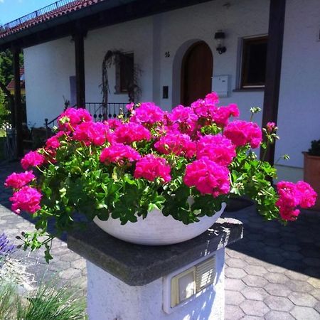 Haus Saentisblick Daire Eriskirch Dış mekan fotoğraf