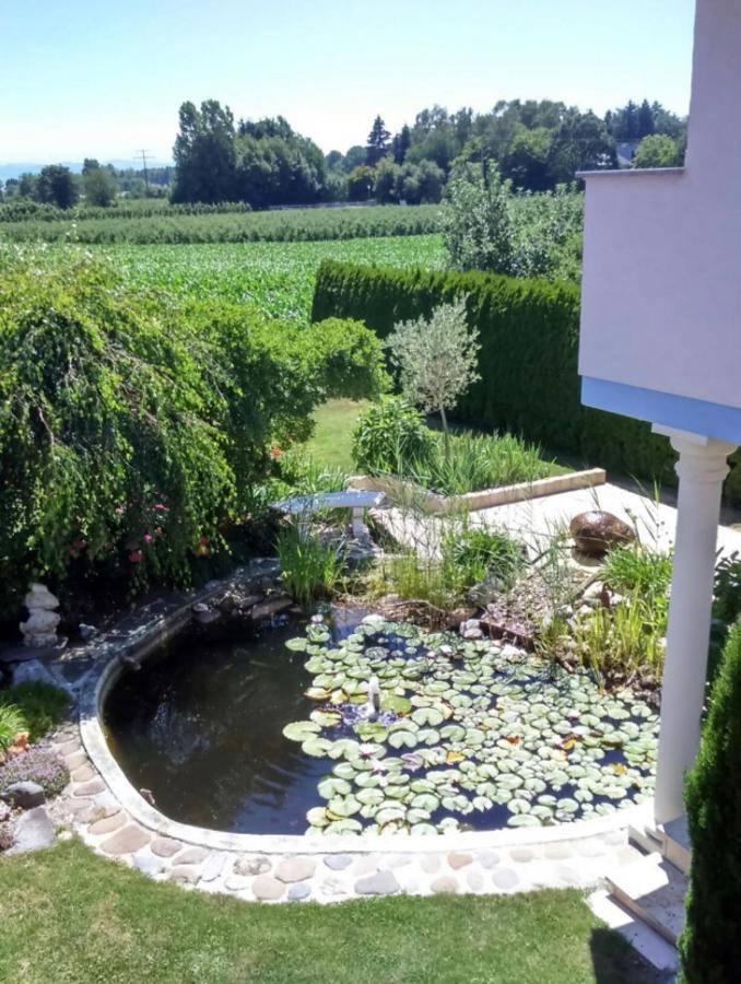 Haus Saentisblick Daire Eriskirch Dış mekan fotoğraf