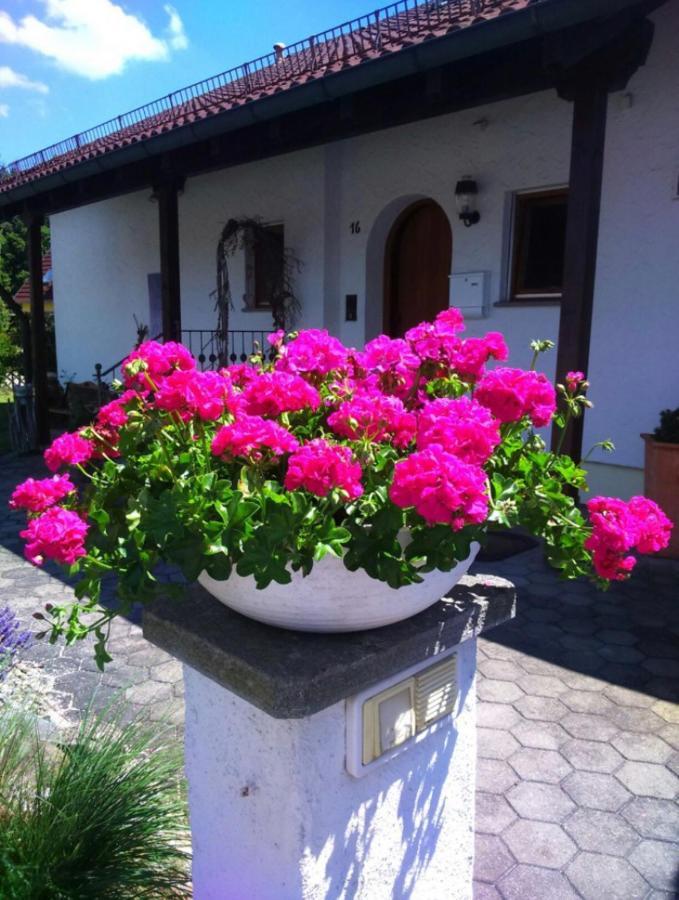 Haus Saentisblick Daire Eriskirch Dış mekan fotoğraf
